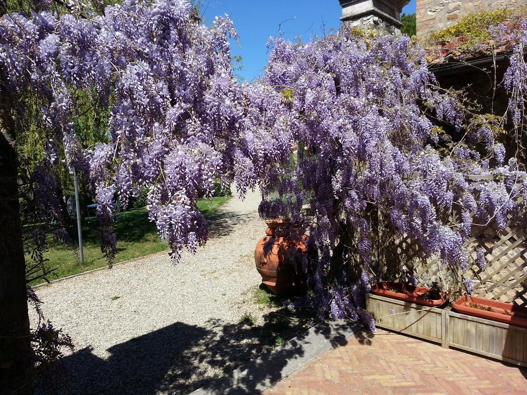 Casa rural La Loggia - Gloria -adults Only Quercegrossa