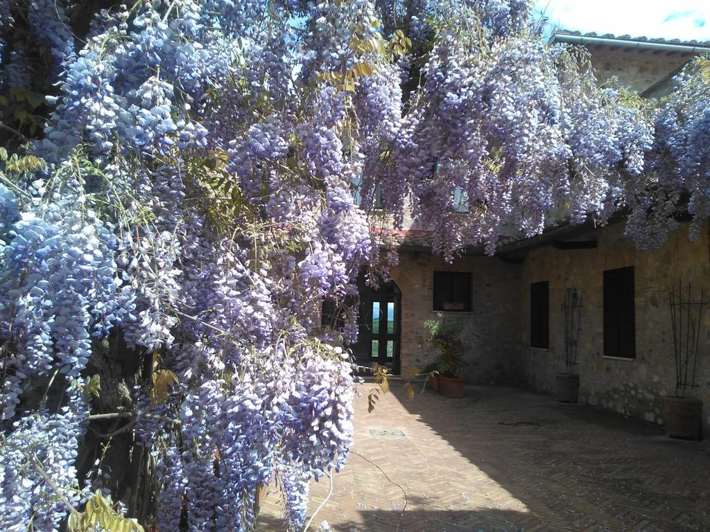 La Loggia - Gloria -adults Only