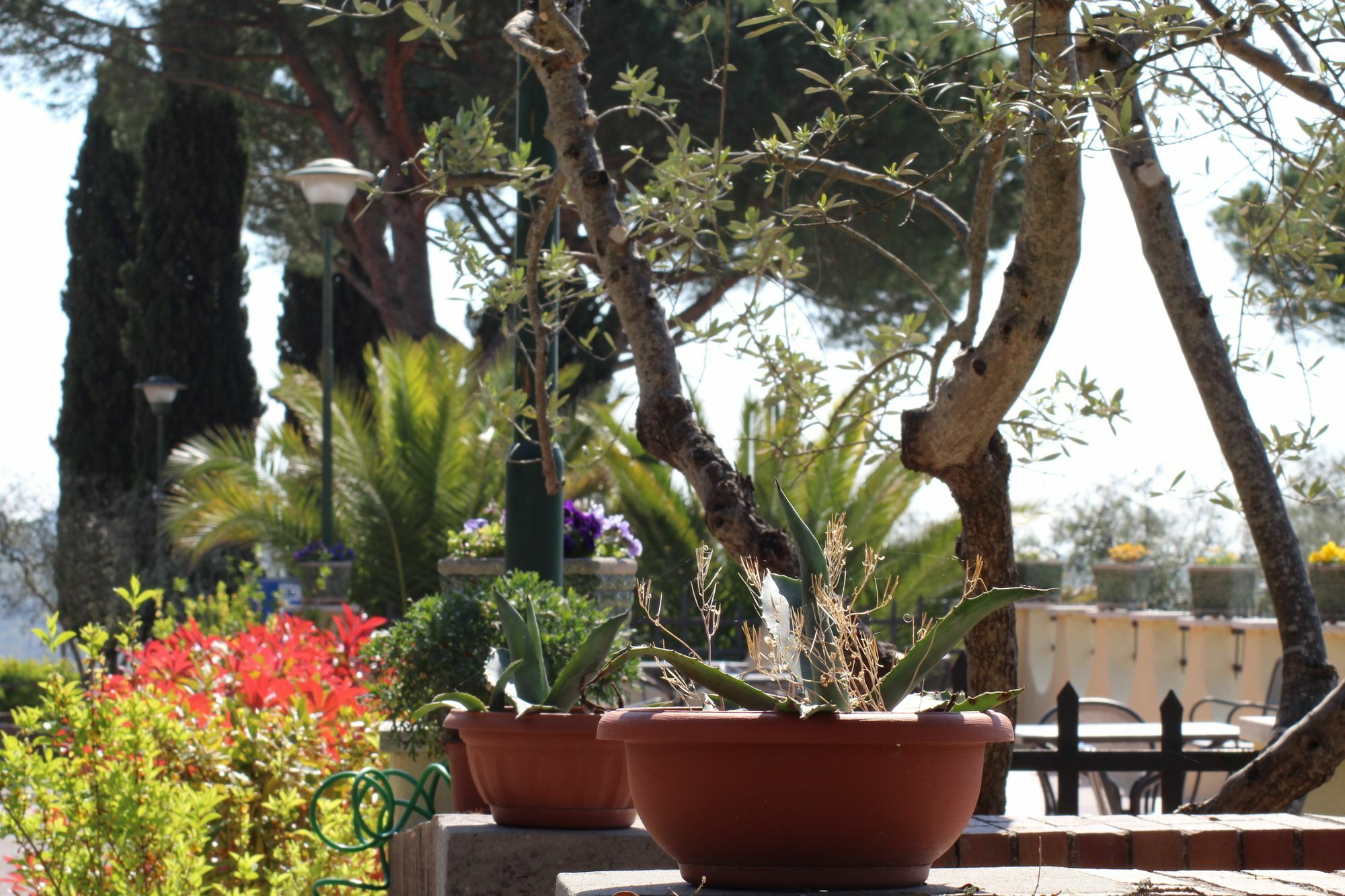 La Loggia - Gloria -adults Only Casa rural *